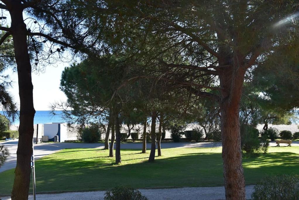Le Byblos 9 - Vue Mer - Climatisation Plage d'Argeles Exterior photo
